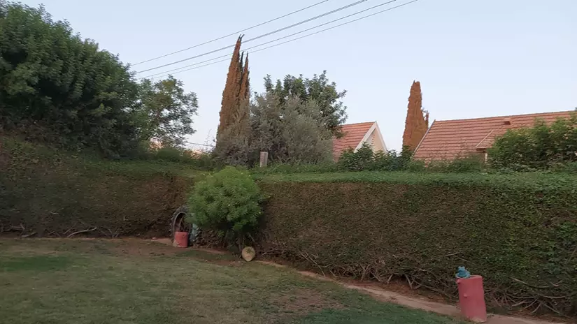 תחזוקת גינה של בית פרטי 6